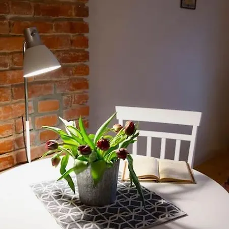 Cosy Near City Centre 公寓 塔林